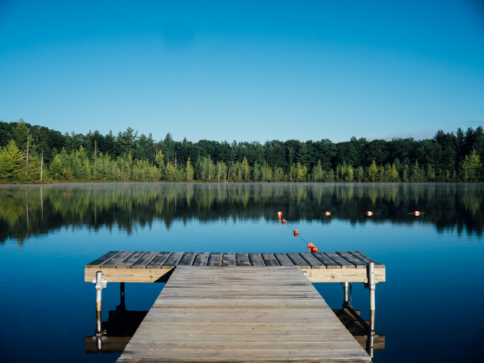 A still lake and wooden dock at dawn