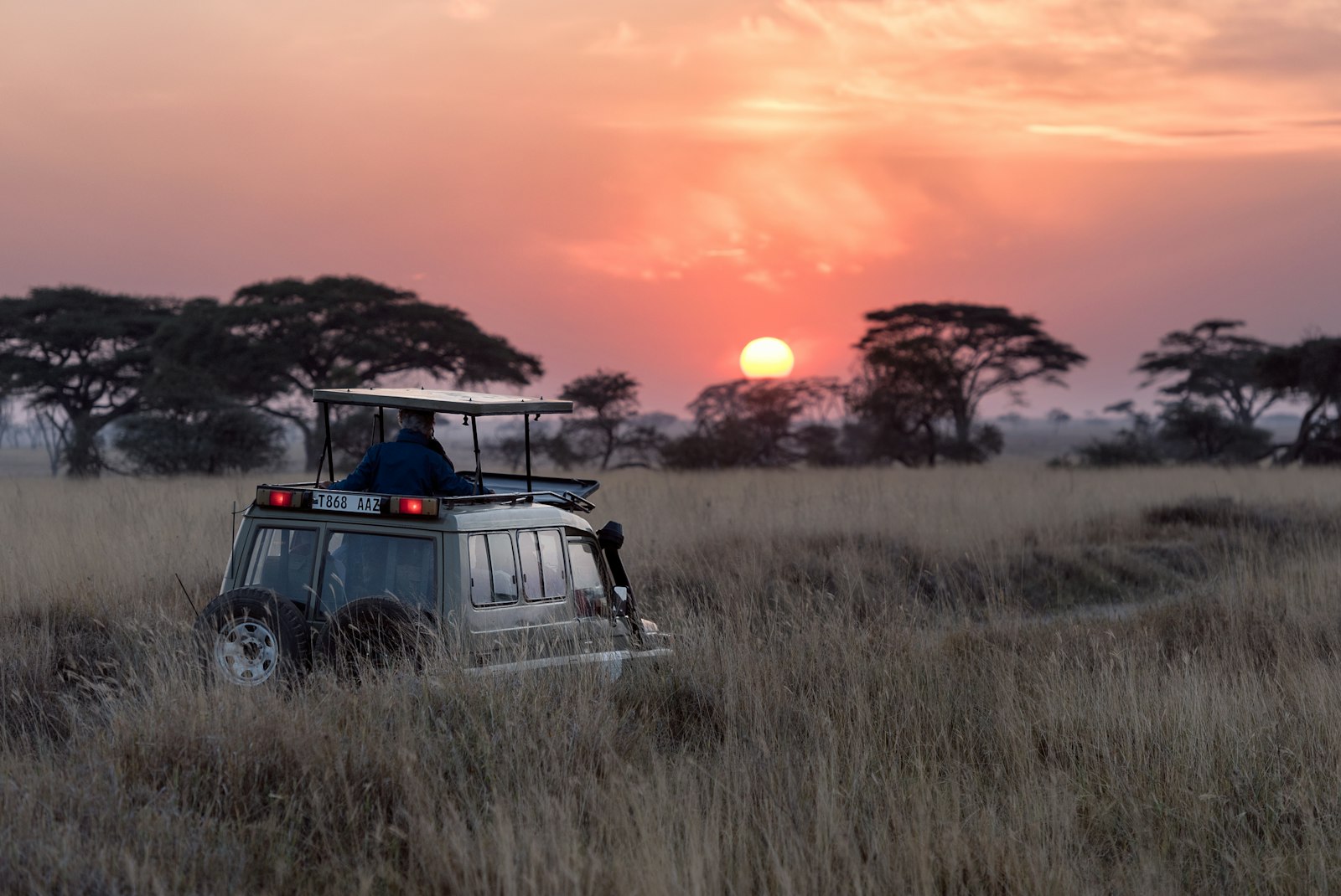 A safari vehicle crossing the savanna at sunset